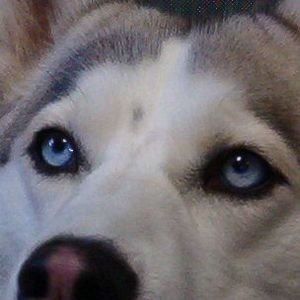 Meet your Posher, Lynette